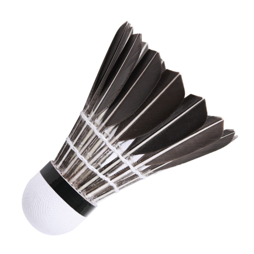 Professional Badminton Shuttle - Badminton Nylon Shuttlecock recension och pris