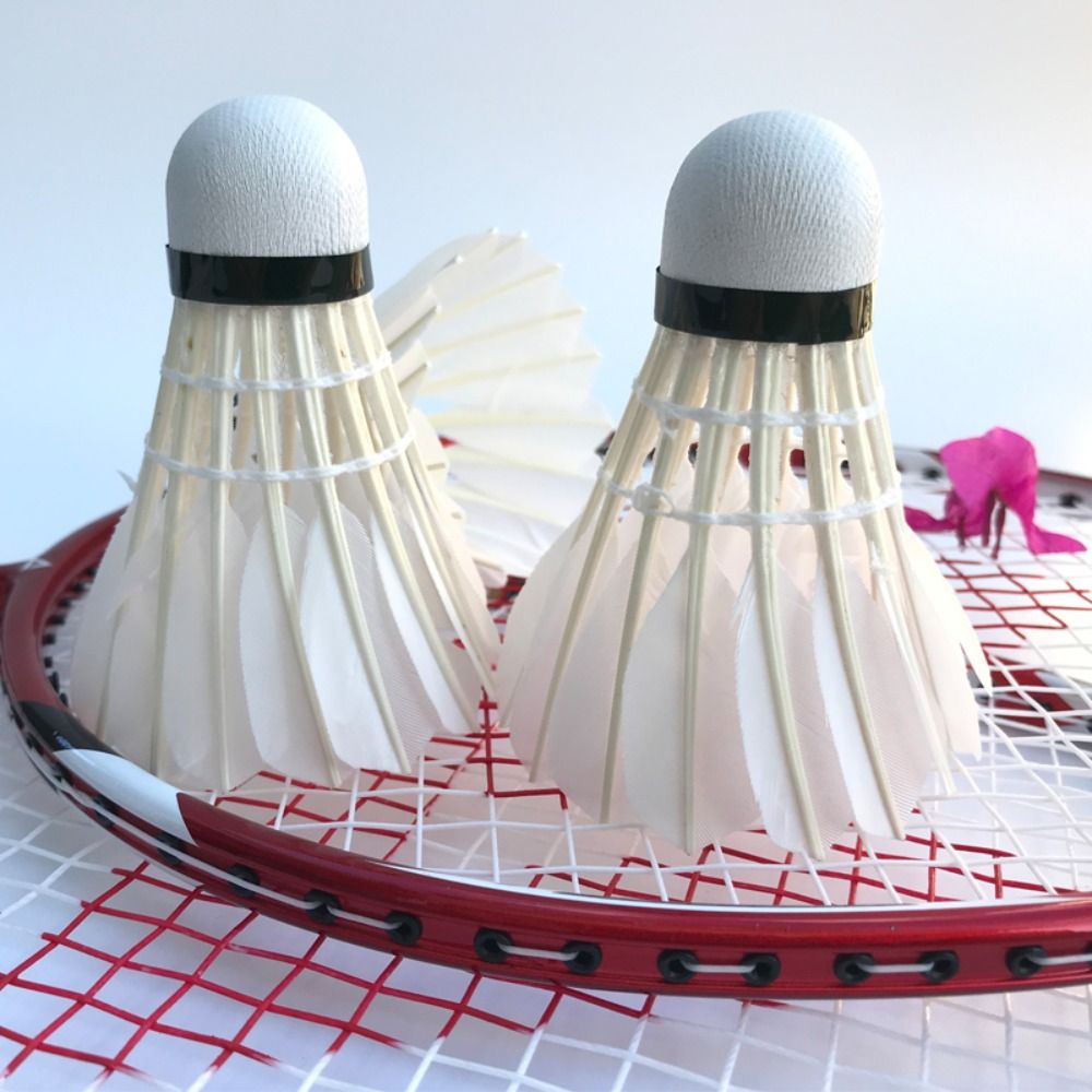 3/6/12Pcs Professional Badmint - Badminton Nylon Shuttlecock recension och pris